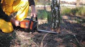 Best Soil Testing and Treatment  in Woodmoor, CO