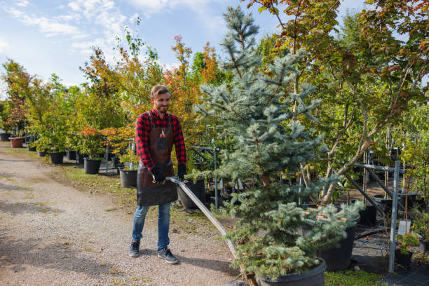 Soil Testing and Treatment in Woodmoor, CO